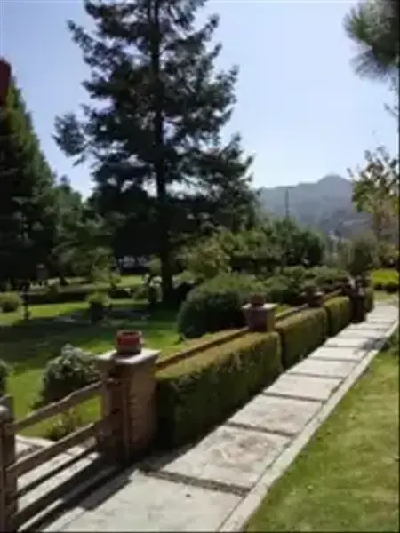 Foto 9