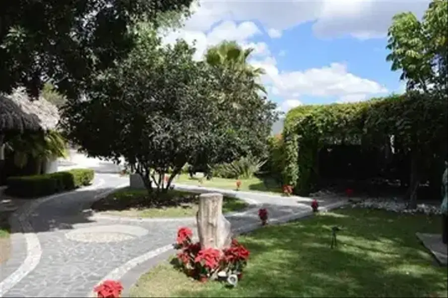 Foto 5