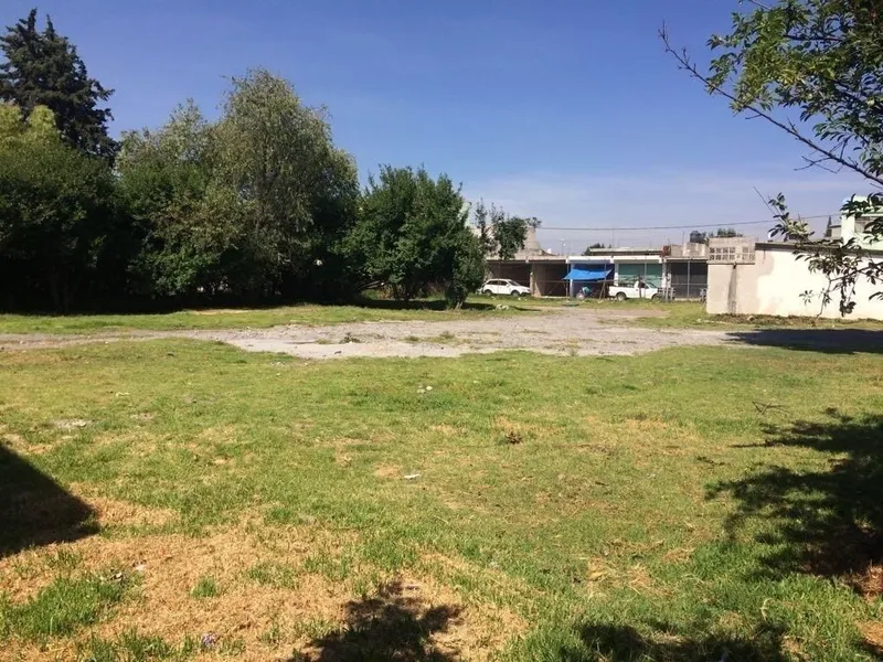 Foto 19