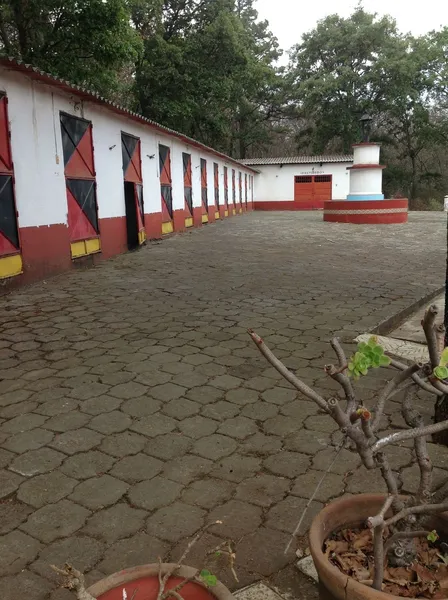 Foto 16