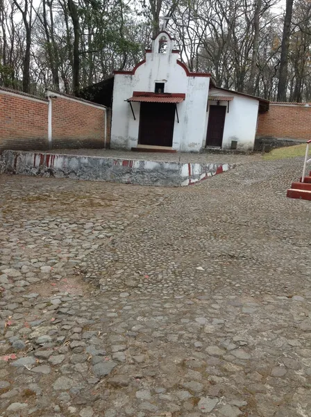 Foto 7
