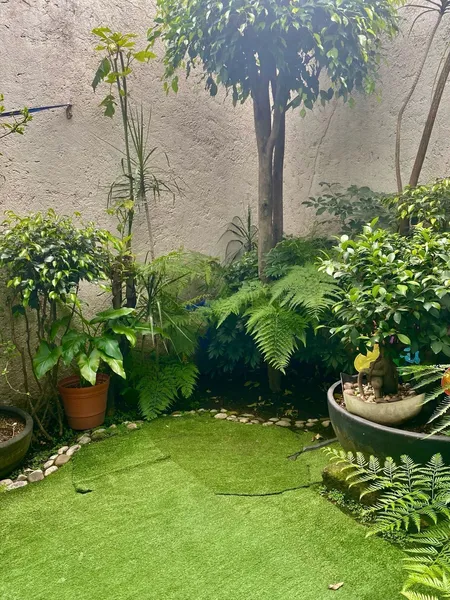 Foto 28