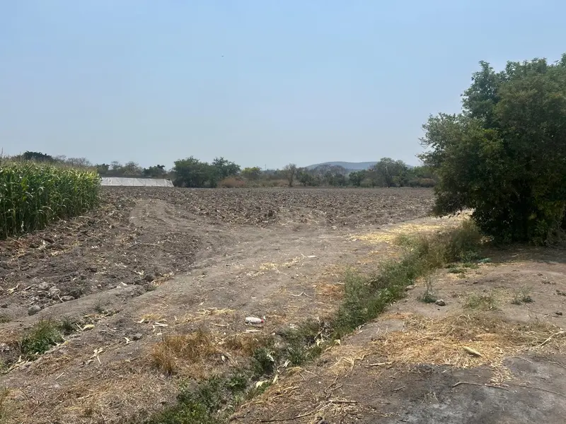 Foto 5