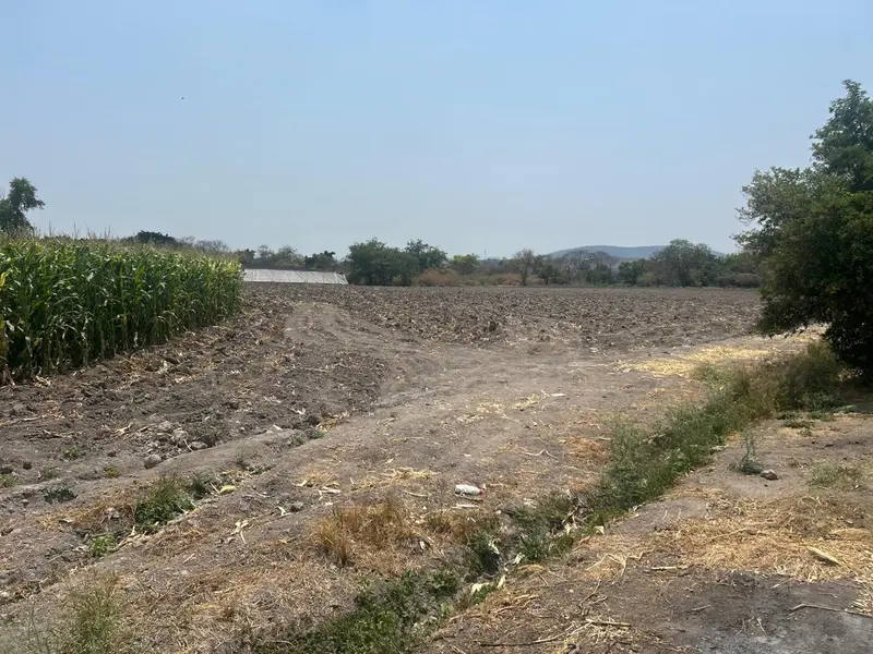 Lote en venta · Atlacholoaya, Xochitepec, Morelos
