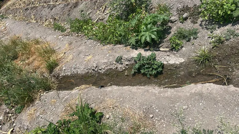 Foto 10