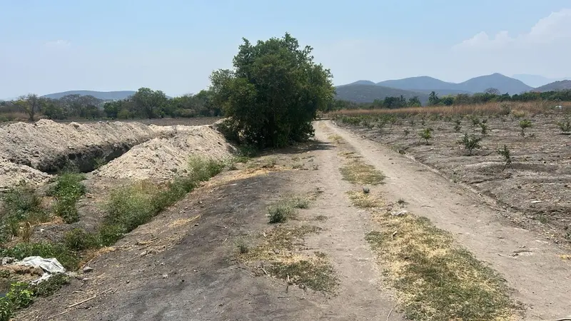 Foto 12