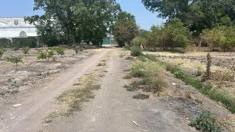 Foto 2