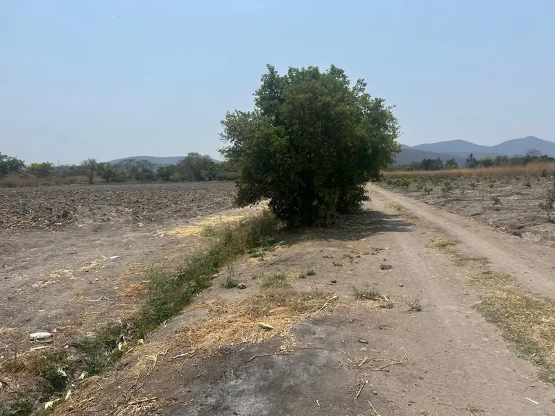 Foto 6