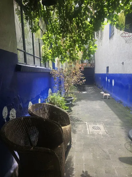 Foto 5