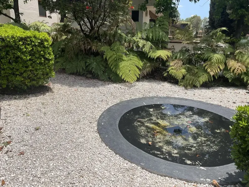 Foto 11