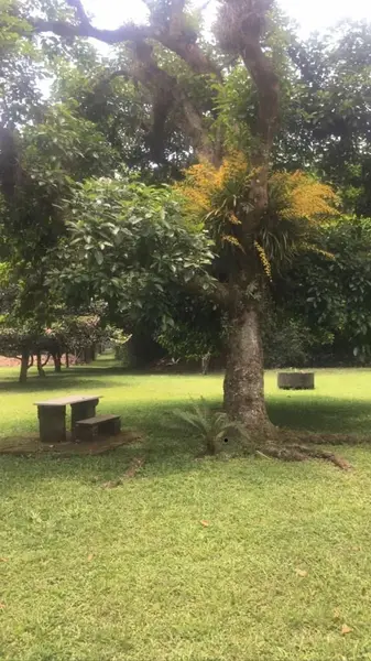 Lote en venta · 10 de Mayo, Coatepec, Veracruz Lote en venta · 10 de Mayo, Coatepec, Veracruz