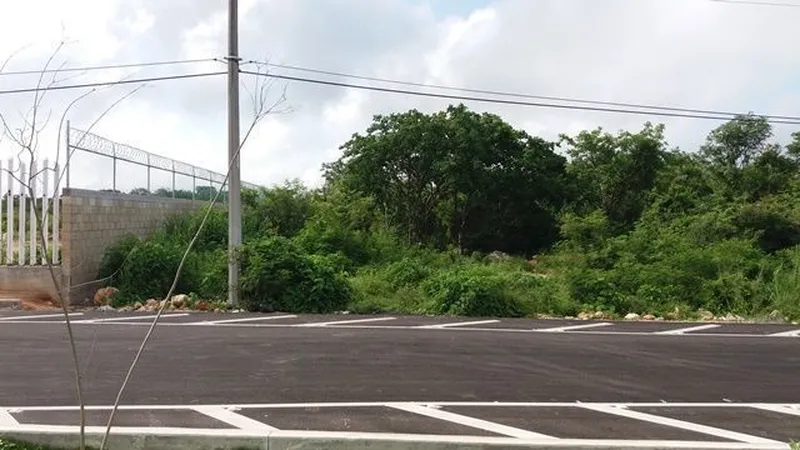 Foto 6