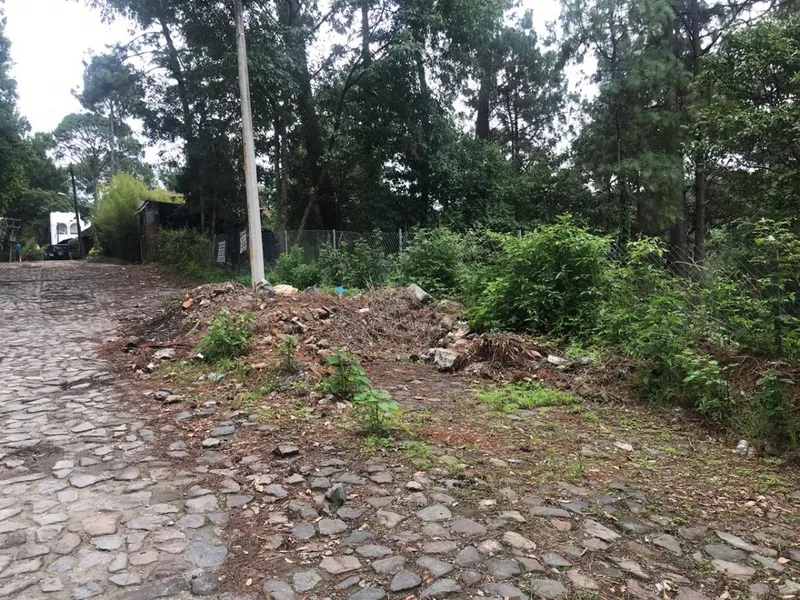 Foto 10