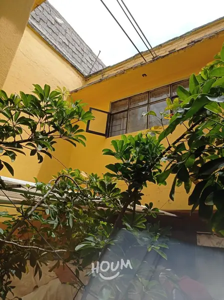 Foto 19