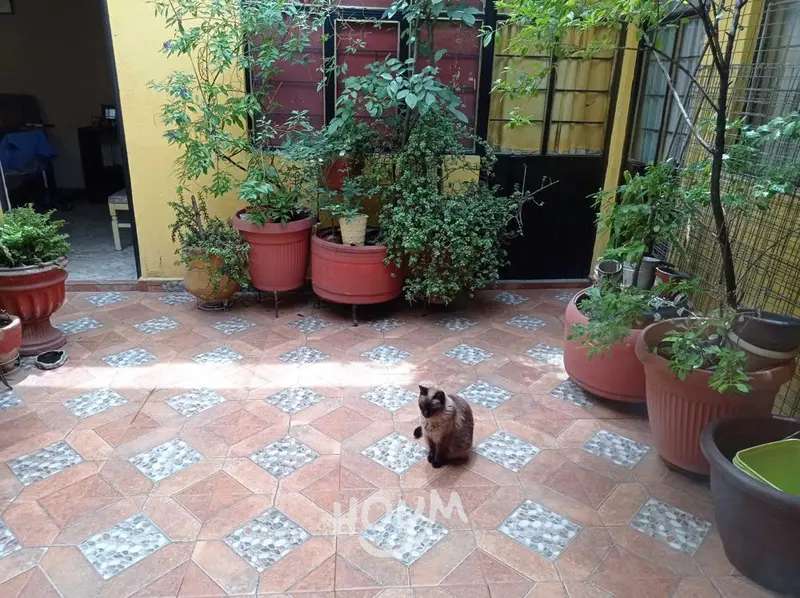 Foto 16