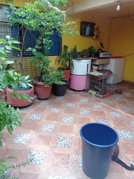 Foto 15