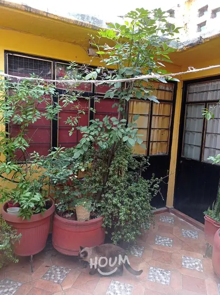 Foto 12