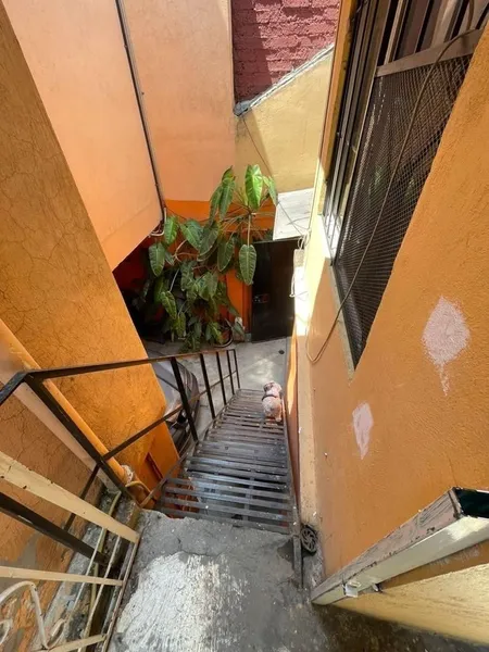 Foto 12