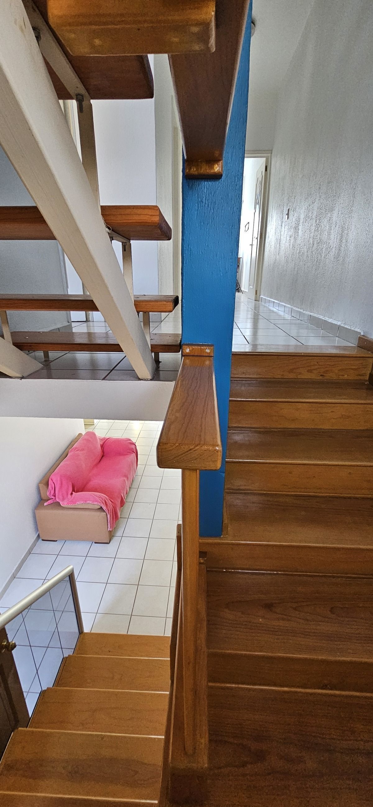 Foto 41