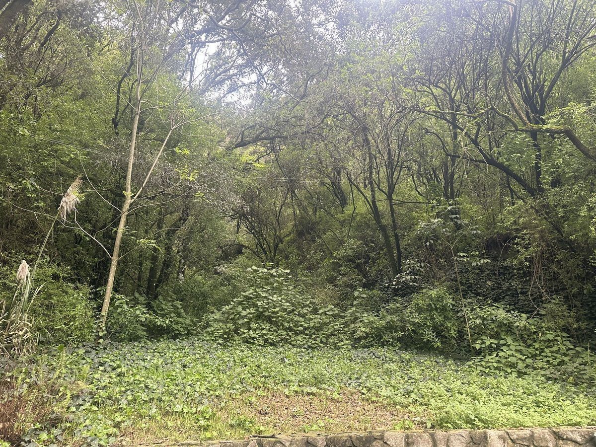 Lote en venta · Contadero, Cuajimalpa de Morelos, Ciudad de México