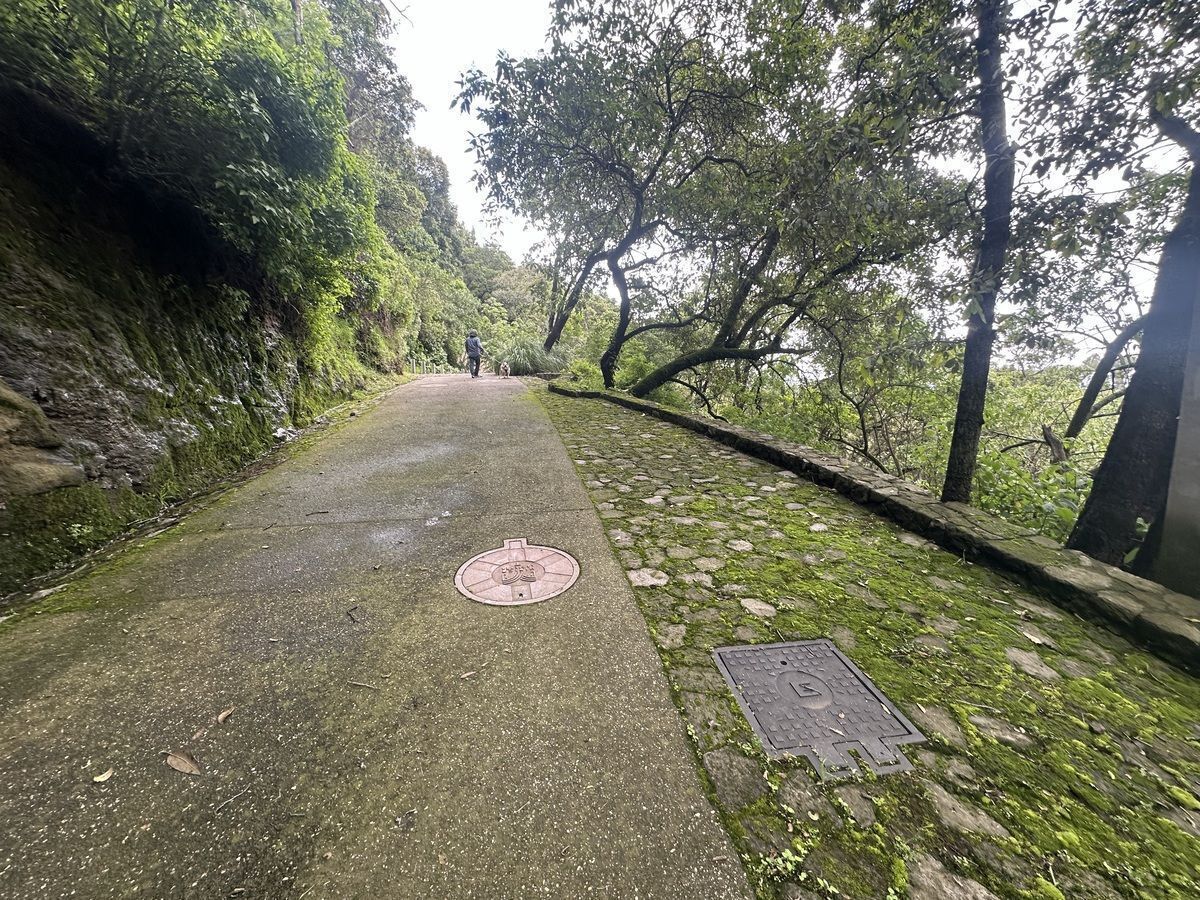 Foto 15