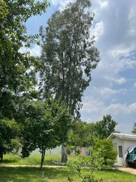 Foto 32
