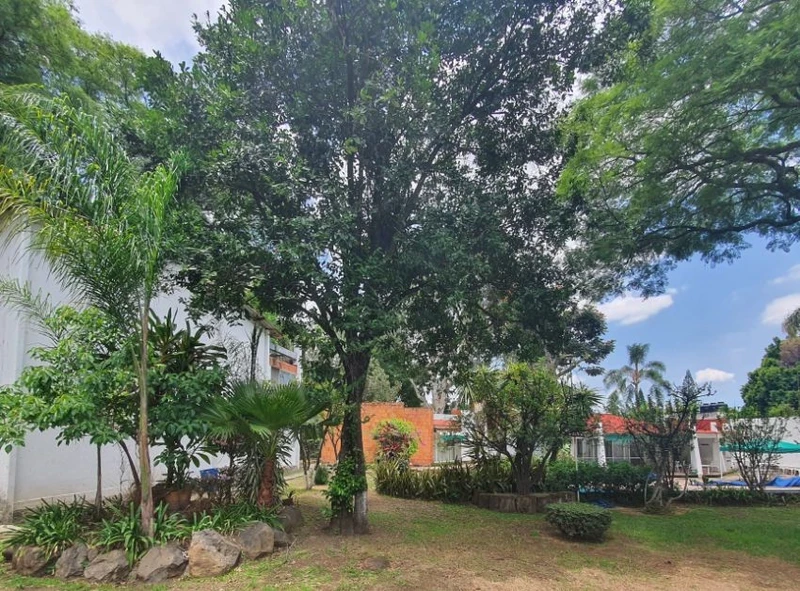 Foto 13