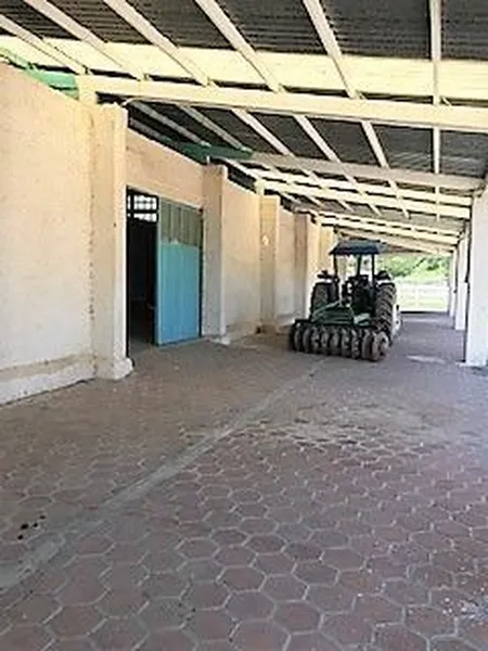 Foto 10