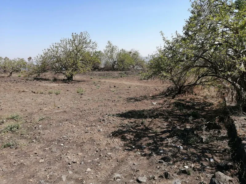 Nave industrial en venta · Santa Catarina Ayotzingo, Chalco, Estado de México