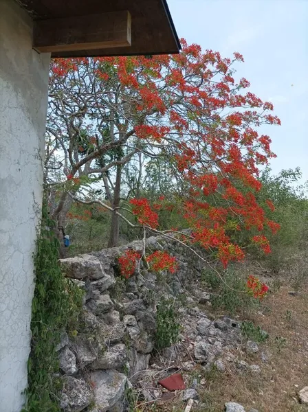 Foto 8