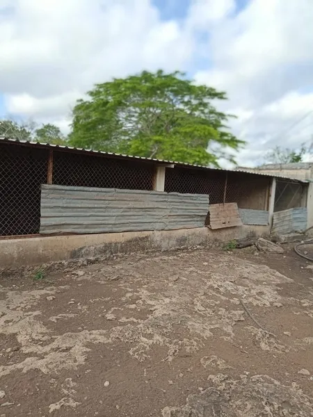 Foto 12