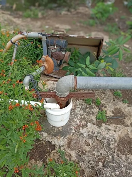 Foto 11