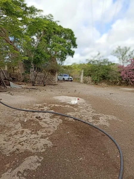 Casa en venta · Sucila, Sucilá, Yucatán