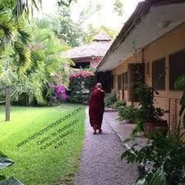Foto 15