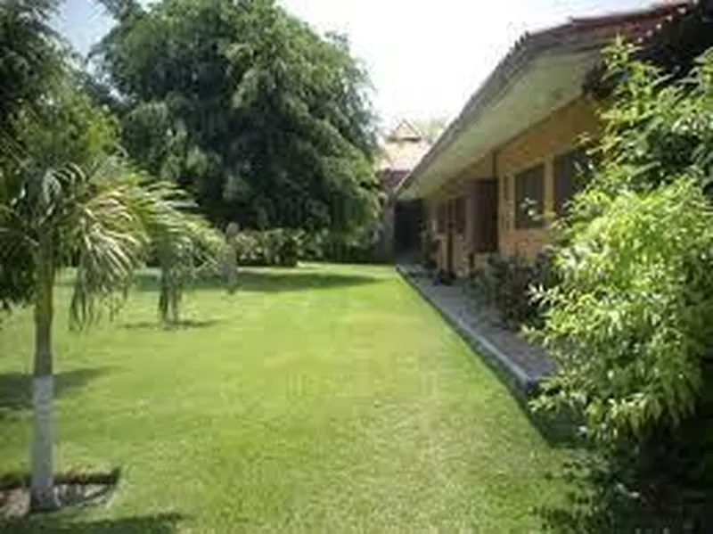 Foto 8