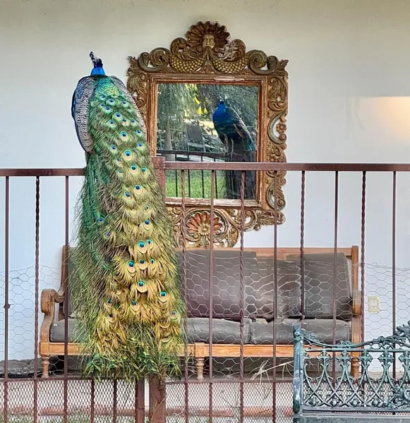 Casa en venta · Atlacholoaya, Xochitepec, Morelos