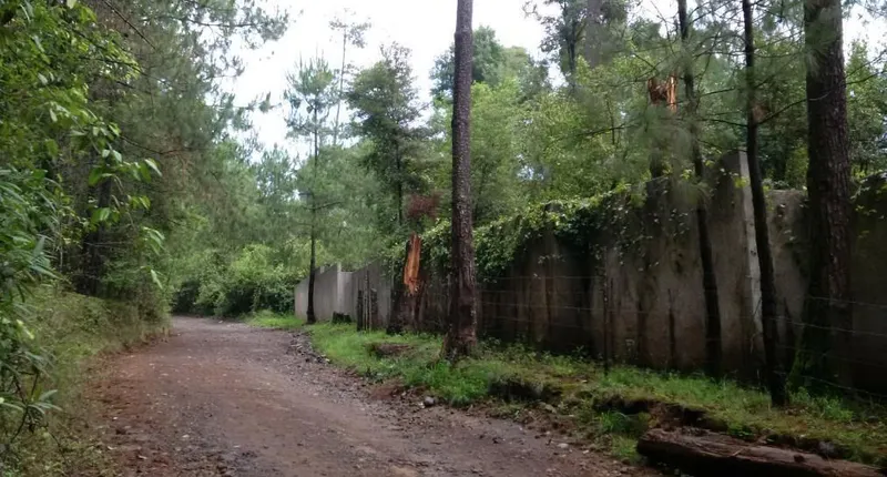 Foto 9