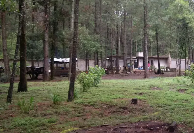 Foto 5