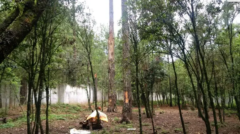 Lote en venta · Avándaro, Valle de Bravo, Estado de México