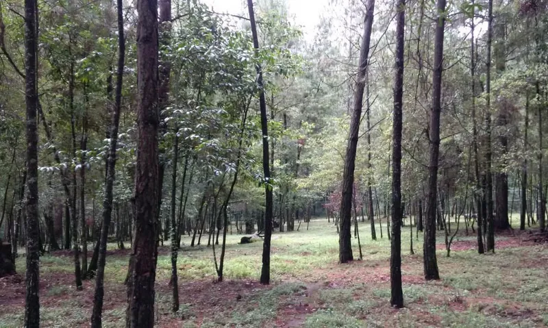 Lote en venta · Avándaro, Valle de Bravo, Estado de México