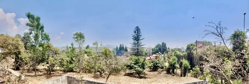 Foto 24