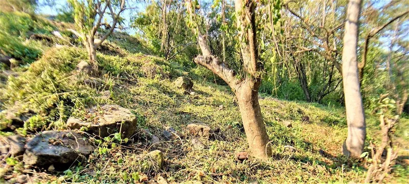 Foto 12