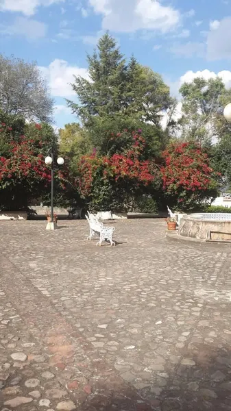 Foto 23
