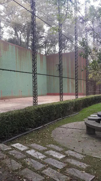 Foto 46
