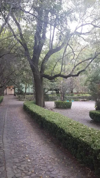 Foto 44