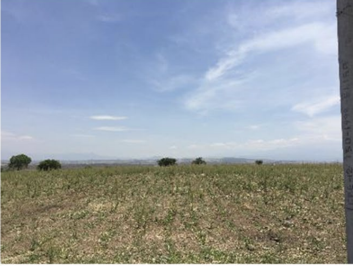 Lote en venta · Tlayecac, Ayala, Morelos