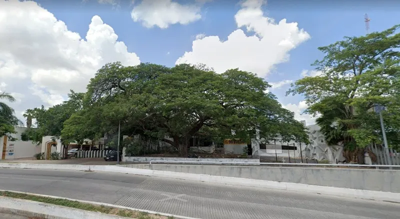 Lote en venta · Buenavista, Mérida, Yucatán