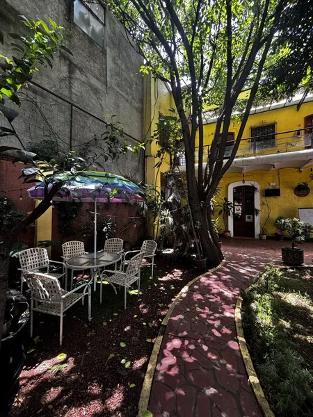 Casa en alquiler · Popotla, Miguel Hidalgo, Ciudad de México Casa en alquiler · Popotla, Miguel Hidalgo, Ciudad de México