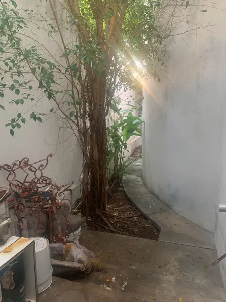 Foto 25