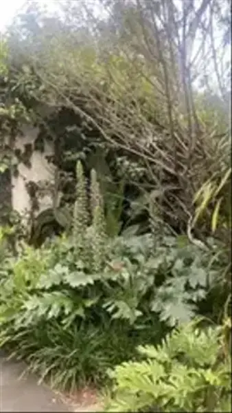 Foto 14